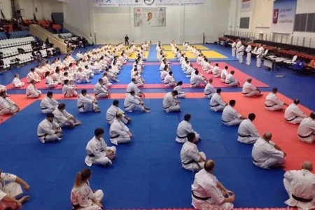 Клуб боевых искусств Kumite dojo фото 5