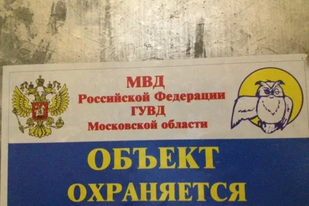 Администрация городского округа Красногорск Архивный отдел фото 4
