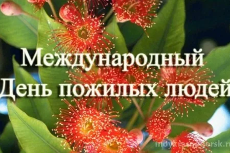 Администрация городского округа Красногорск управление земельных отношений фото 5