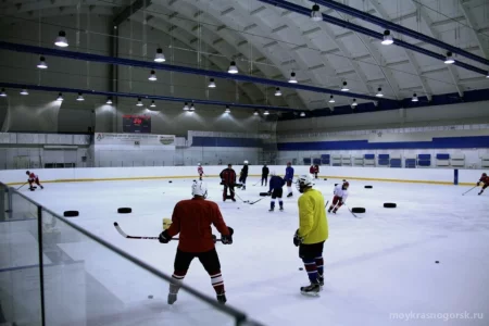 Школа хоккея и фигурного катания iceDay на Международной улице фото 2
