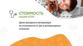 Ветеринарная служба ВетСкорая24 на улице Ленина фото 2