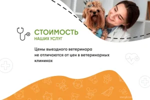 Ветеринарная служба ВетСкорая24 на улице Ленина фото 2