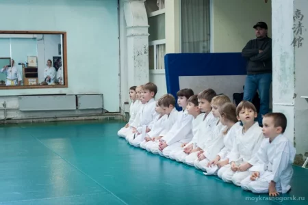 Школа боевых искусств Косейкан фото 2