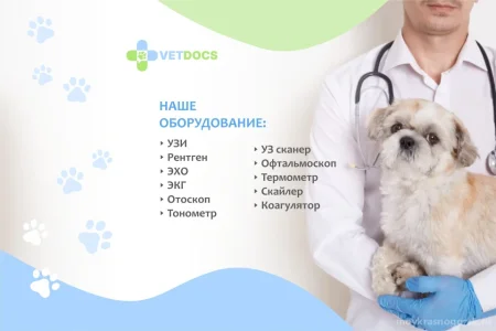 Ветеринарная клиника Vetdocs фото 9