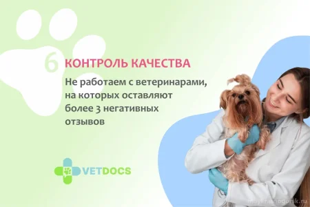 Ветеринарная клиника Vetdocs фото 7