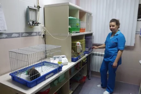 Ветеринарная клиника Айболит-Красногорск фото 4