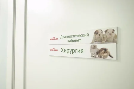 Ветеринарная клиника КрасногорьеВет фото 5